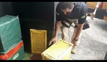 Polícia encontra 500 kg de cocaína dentro de veiculo com marca dos Correios