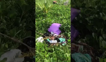 Moradores denunciam despejo de lixo em área de proteção