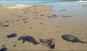 Mancha de óleo atinge 43 praias do Nordeste e chega a Alagoas